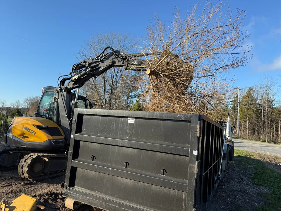 Excavator loading cleared brush into a container
