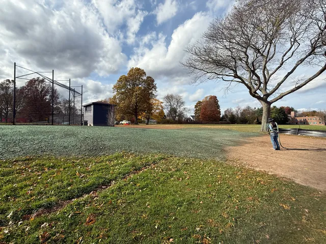 Hydroseed coming in on a park field in autumn