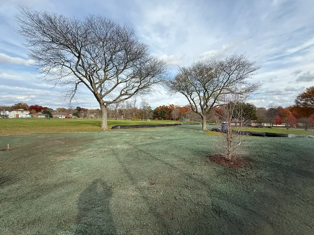 Hydroseeded park grounds around mature trees