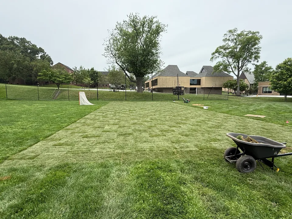 Fresh sod on a campus green