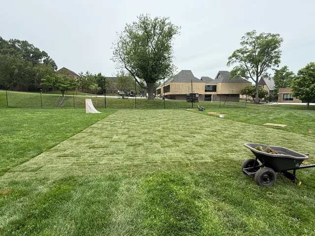 Fresh sod on a campus green