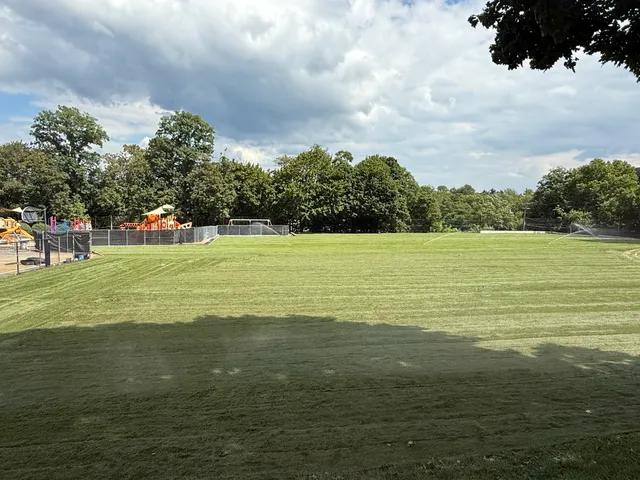 Freshly sodded field beside a playground