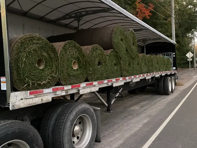 Sod delivery for a large-scale installation
