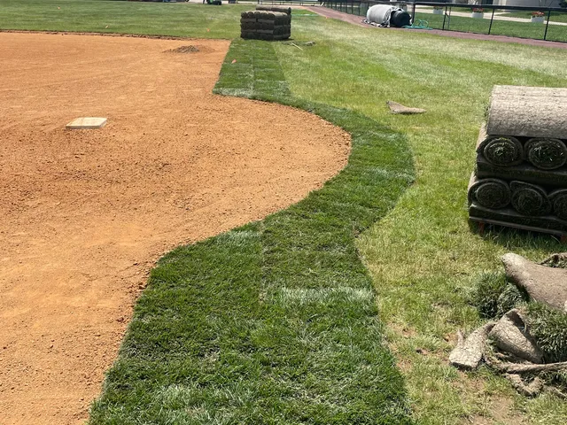 Fresh sod laid along the edge of a baseball infield