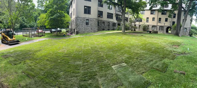 Sodded courtyard on a campus