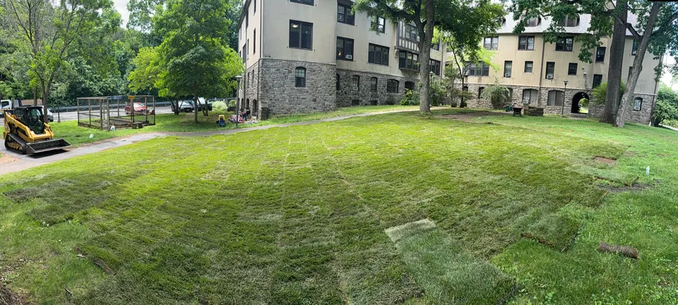 Sodded courtyard on a campus