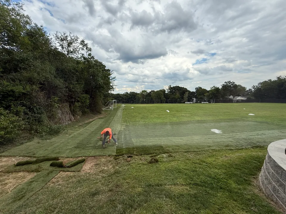 Sod rolled out across a field below a wooded slope