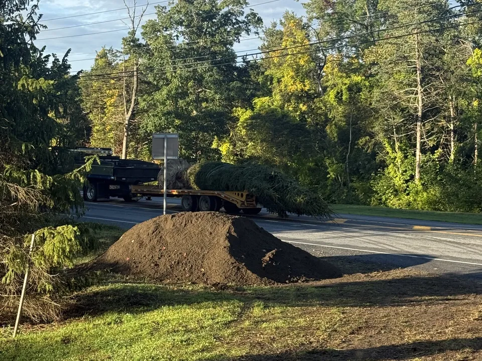 Topsoil staged for backfill along a new planting bed